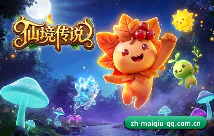 买球网 APP 深度功能 - SPORTS